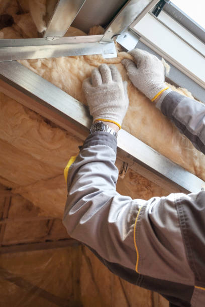 Best Residential Insulation in Mesquite, TX