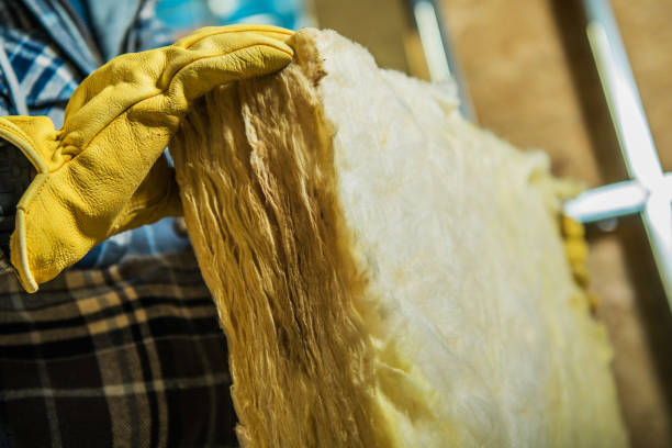 Best Insulation Installation Services in Mesquite, TX